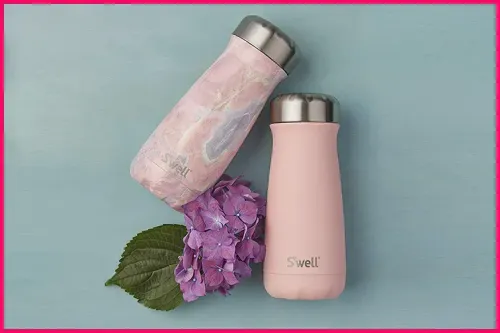 S’well Traveler; Courtesy Amazon