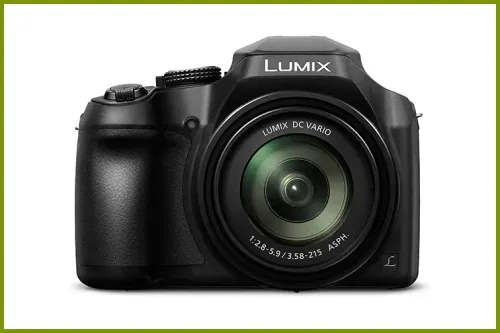 Panasonic Lumix FZ80; Courtesy Amazon