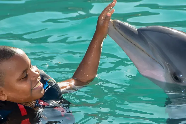 Bermuda Dolphin QUest; Courtesy Tripadvisor Traveler/MommaMer97