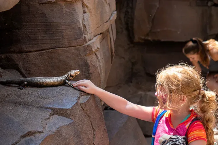 Henry Doorly Zoo in Omaha, Nebraska; Courtesy Gwells/Shutterstock
