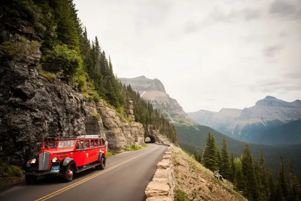 Red Jammers; Courtesy of Glacier Country