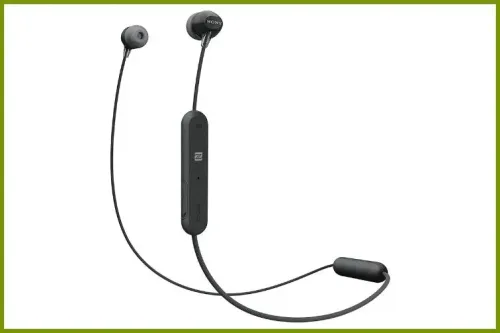 Sony Earbuds