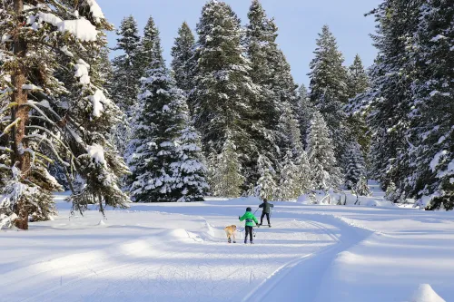 McCall, Idaho; Courtesy of CSNafzger/Shutterstock.com