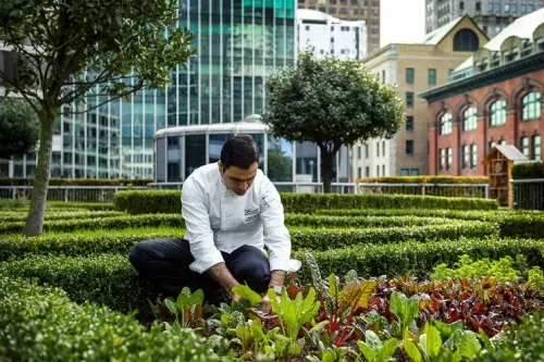 Fairmont Waterfront rooftop garden; Courtesy of Fairmont Waterfront