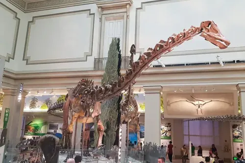 Smithsonian Museum of Natural History – Washington, D.C.; Courtesy Tripadvisor Traveler/Babi