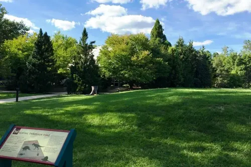 Dinosaur State Park; Courtesy Tripadvisor Traveler/FoodieMusafir