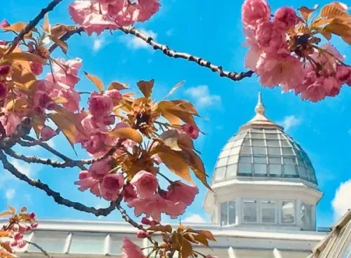 Franklin Park Conservatory and Botanical Gardens