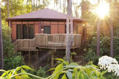 Disney's Saratoga Springs Resort & Spa in Florida; Courtesy of Disney