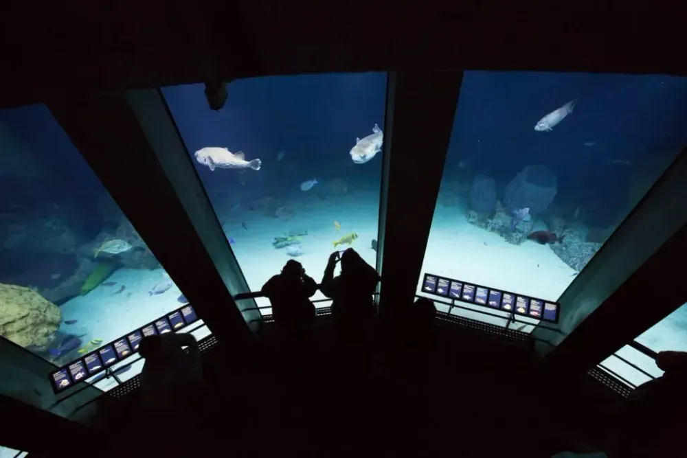 Exhibit at the National Aquarium