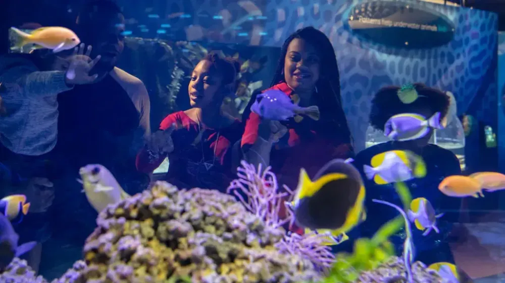 Family looking at fish tank