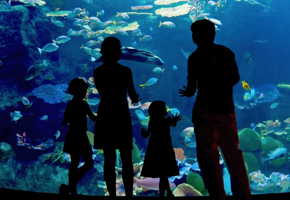 Silhouettes of a family at the aquarium