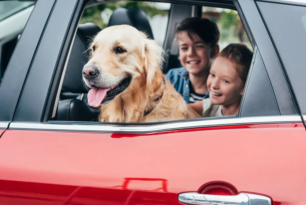 Kids and dog in back seat of red car