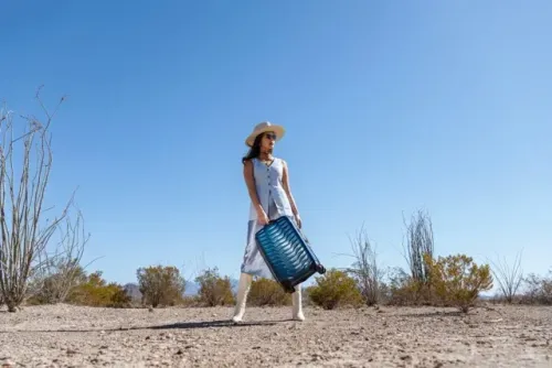 Person with suitcase