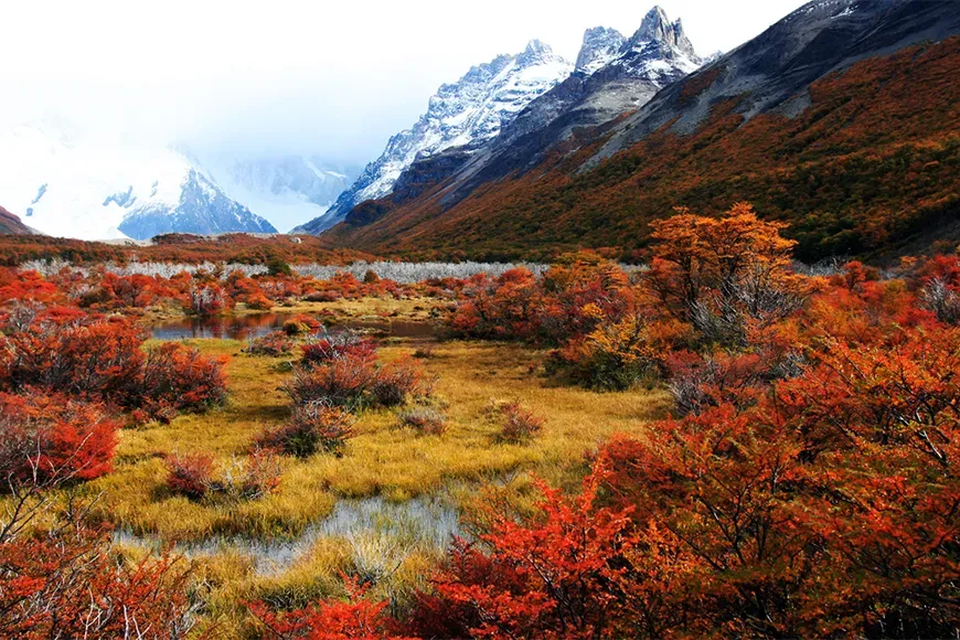 Fall When 7 Unexpected Places to See Fall Foliage Overseas | SmarterTravel
