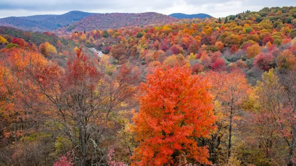 Fall Scenic Drives for Each U.S. Region