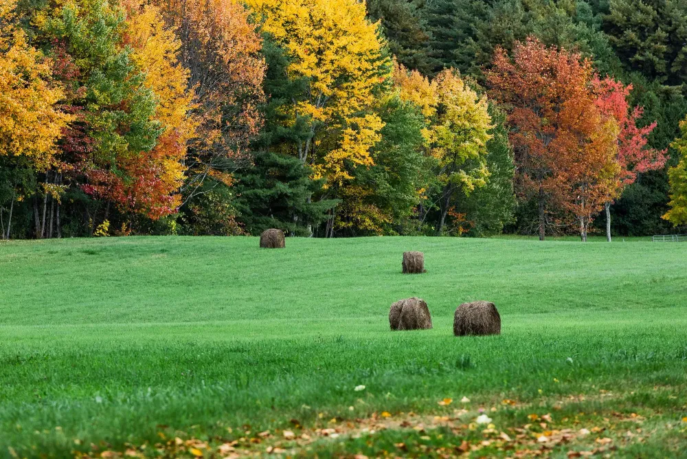 Seven Irresistible Country Retreats