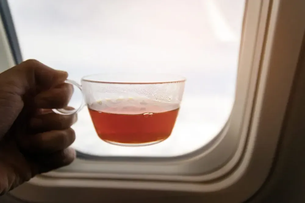 The 15 Items You Need to Survive a Long-Haul Flight | SmarterTravel